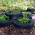 Recycled Backyard: Tire Gardens