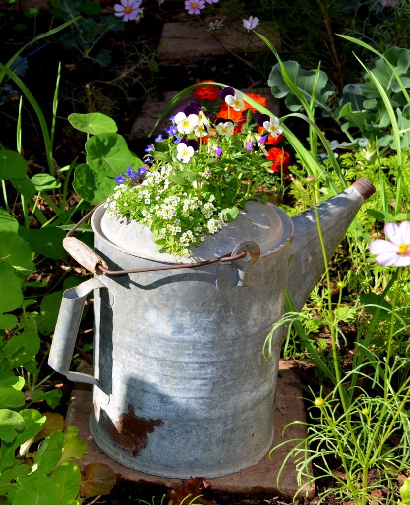 An Old, Rusty Watering Can Finds New Purpose