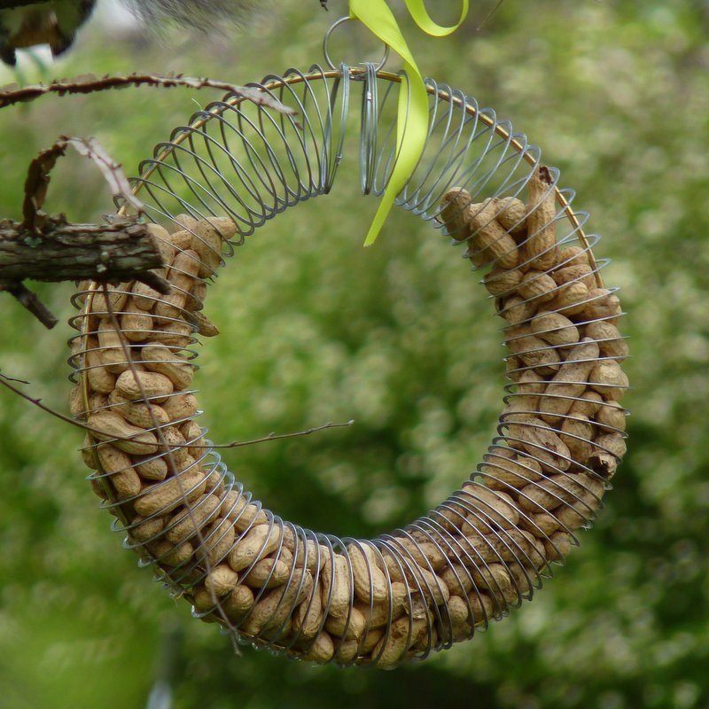 Make a DIY Peanut Bird Feeder With a Slinky