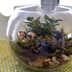 DIY Project: How to Make a Terrarium