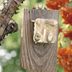 DIY Homemade Silverware Suet Feeder