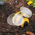 Bumblebee Bowling Ball Garden Art