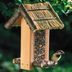 Cozy Cabin DIY Bird Feeder