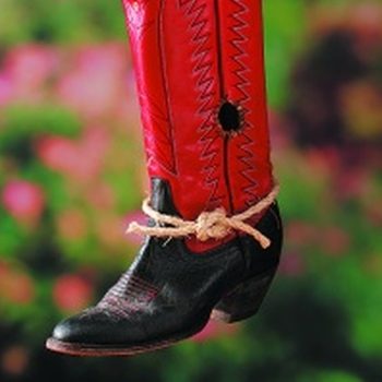 Cowboy Boot Birdhouse