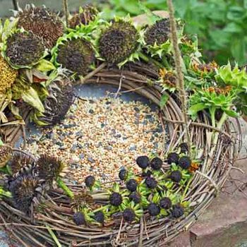 DIY Bird Feeder Wreath