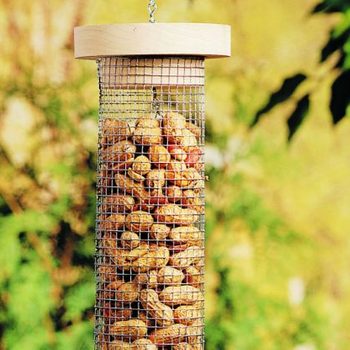 diy bird feeder for peanuts