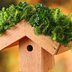 Green Roof DIY Birdhouse