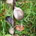 How to Make a Rain Chain With Spoons