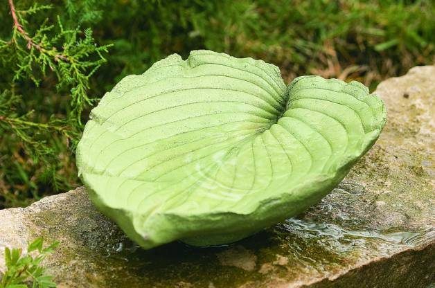 Make a DIY Concrete Leaf Birdbath