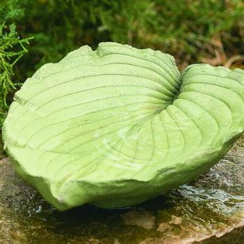 DIY concrete leaf Bird Bath