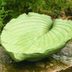 Make a DIY Concrete Leaf Birdbath