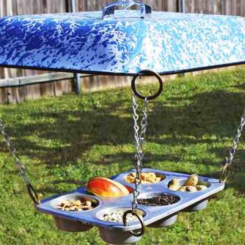 Muffin Tin DIY Bird Feeder