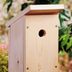 Build a One-Board DIY Birdhouse