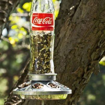 Soda Bottle Homemade Bird Feeder