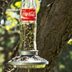 Turn a Glass Soda Bottle into a Homemade Bird Feeder