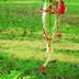 Glass Bottle Homemade Hummingbird Feeder