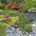 Build a Rock Garden