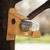 How to Make a DIY Squirrel Feeder