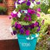 3-Tier Stacked Flower Pots Project