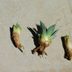 How to Transplant and Grow Agave Pups