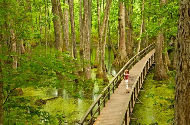 Go Birdwatching in Different Bird Habitats