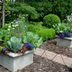 Container Ideas: Pair Flowers and Vegetables Together