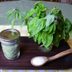 DIY Garden Project: How to Make Basil Salt