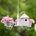 Chandelier Planter and Birdhouse Project