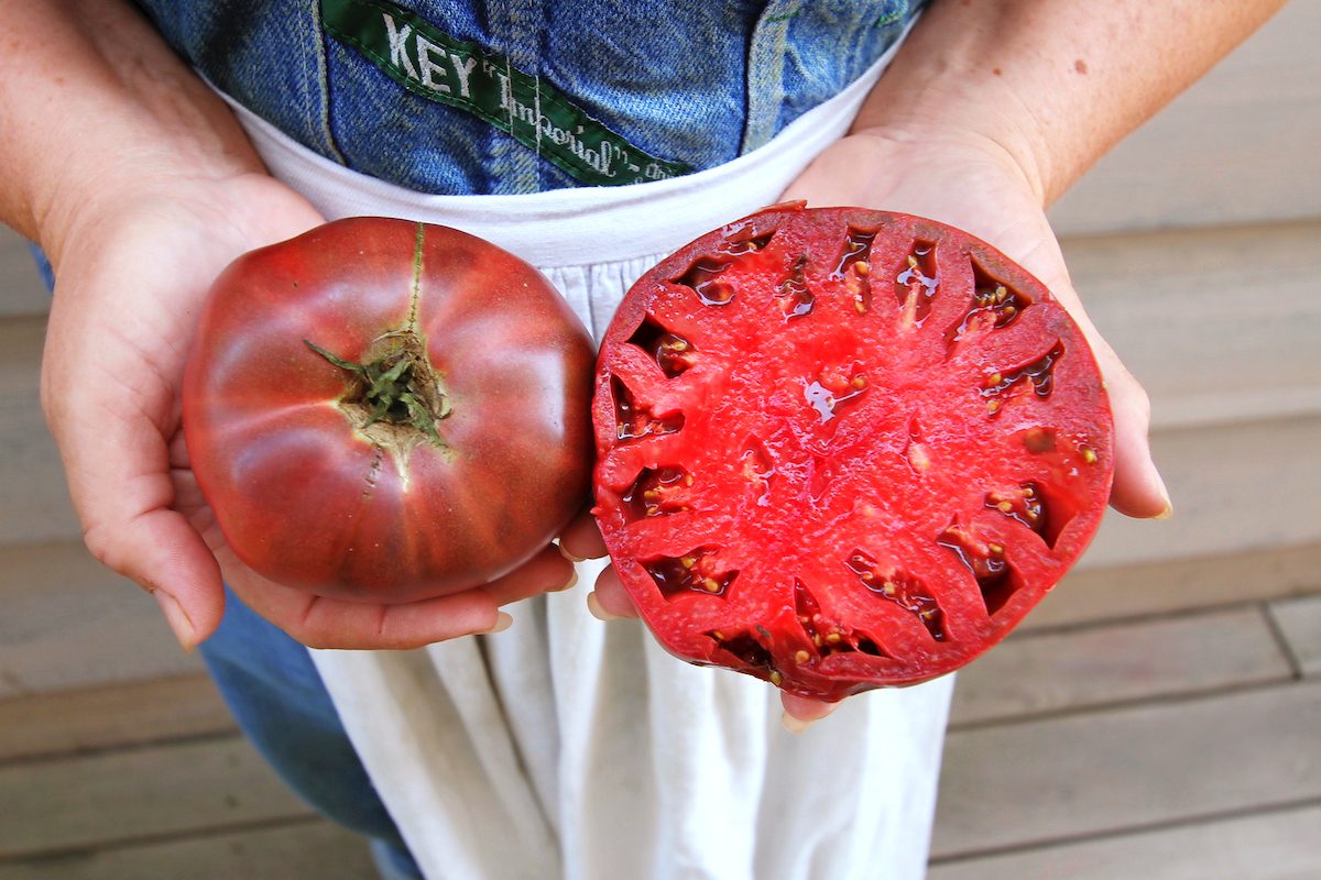 Tips for Saving Tomato and Veggie Seeds From Your Harvest