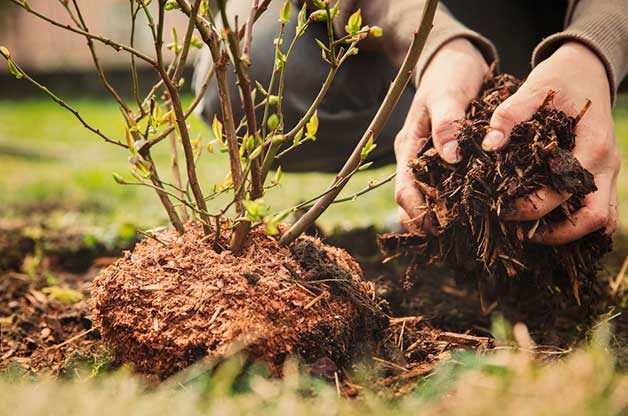 Ask the Garden Expert: Is It OK to Use Rubber Mulch?