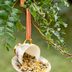 How to Make a DIY Birdfeeder and Bird House with Vintage China