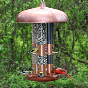 Tube bird feeder