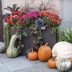 9 Fun Fall Outdoor Container Ideas