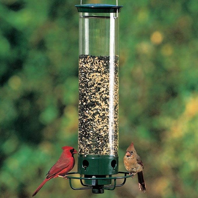 Yankee Flipper squirrel proof bird feeder