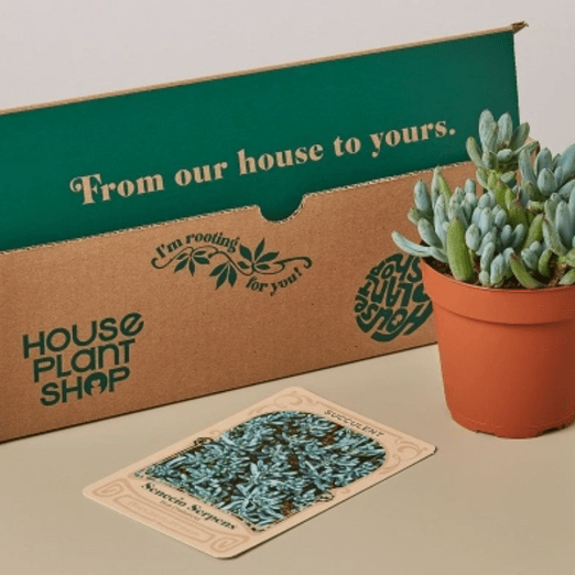 gardening subscription box