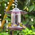 The Best Finch Feeders to Serve Thistle Seed