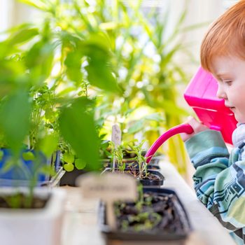 when to start seeds indoors