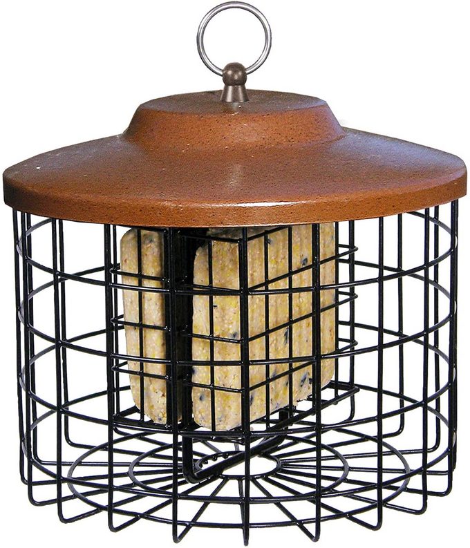 Caged squirrel proof bird Suet Feeder