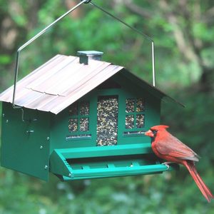 squirrel-be-gone feeder