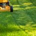 7 Tips for Growing a Healthy Lawn