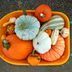 How to Grow Your Own Pumpkins and Gourds