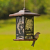 9 Hopper Bird Feeders to Attract Seed-Lovers