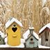 When Should I Clean Out Bird Houses?