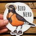 14 Adorable Bird Stickers You Can Buy On Etsy