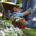 20 Mental and Physical Health Benefits of Gardening