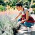 Low-Maintenance Landscaping Ideas for Your Yard