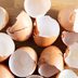 7 Ways to Use Eggshells in the Garden