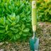 How to Safely Transplant Perennials and Flowers