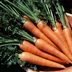 6 Interesting Carrot Facts Worth Knowing