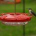 21 Hummingbird Feeders, Supplies and Accessories